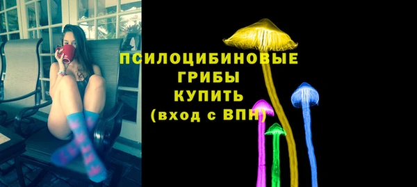 марки nbome Гусь-Хрустальный
