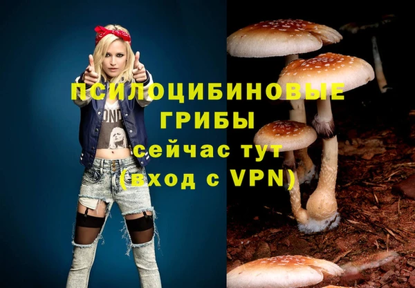 мефедрон Гусев
