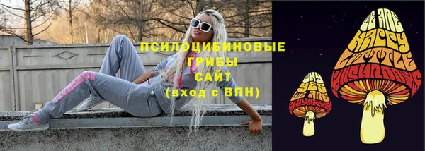 марки nbome Гусь-Хрустальный