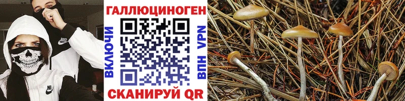 Псилоцибиновые грибы MAGIC MUSHROOMS  Симферополь 